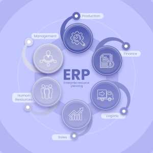 Discovering The Best ERP Software Companies In Jaipur For Business Success