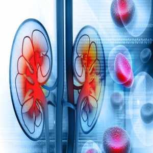 Does Chronic Kidney Disease Affect Blood Sugar Levels?