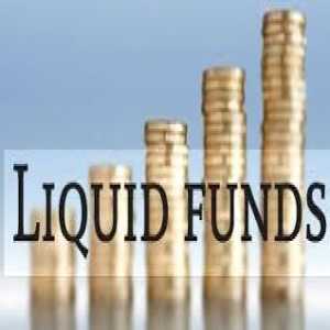 Does The Top Mutual Fund Software For IFA In India Offer Liquid Funds With Instant-Redemption?