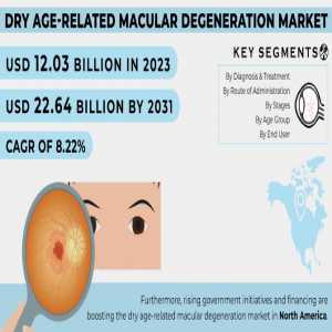 Dry Age-Related Macular Degeneration Market Analysis With COVID-19 Impact On Business Growth, And Forecast 2024-2031