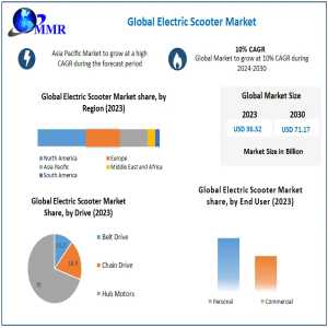 Electric Scooters Market Regulatory Landscape And Impact