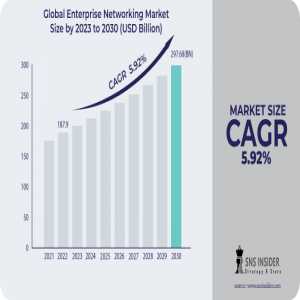 Enterprise Networking Market : A Look At The Industry's Growth And Future Prospects