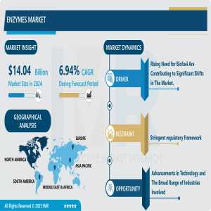 Enzymes Market To Surpass USD 24.02 Billion With A Growing CAGR Of 6.94% By 2032