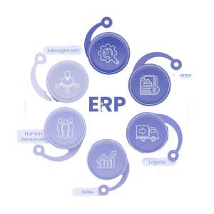 ERP In Udaipur - Transforming Business Operations