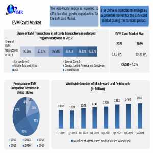 EVM Card Market Revenue, Growth, Developments, Size, Share