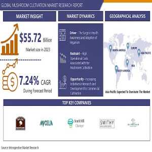 Exploring Value-Added Products In The Mushroom Industry: A Market Perspective