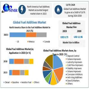 Fuel Additives Market Trends, Demand And Forecast Till 2024-2030