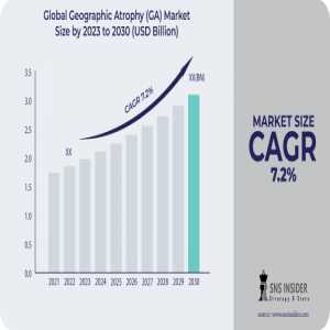 Geographic Atrophy (GA) Market Analysis With COVID-19 Impact On Business Growth, And Forecast 2024-2031