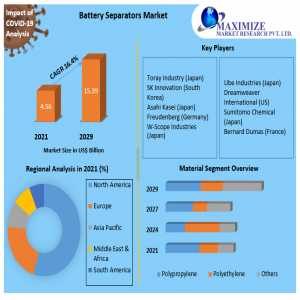Global Battery Separators Market By Type, By Demand Category  And Forecast 2029
