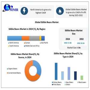 Global Edible Beans Market Forecast 2032: Plant-Based Nutrition Trends Drive Growth To USD 24.56 Billion