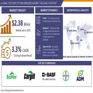 Global Insights Into The Feed Mycotoxin Binders Market: Challenges And Opportunities