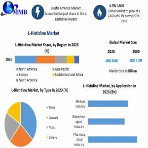 Global L-Histidine Market Business Guidelines, Promising Industry Trends, Development Strategies-2030