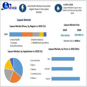 Global Lipase Market: Emerging Applications And Growth Drivers