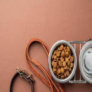 Global Pet Food Preservative Market Report Size, Share (2024)