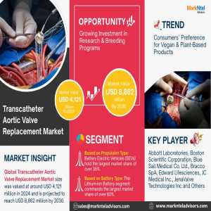 Global Transcatheter Aortic Valve Replacement Market Reaches USD 4,121 Million In 2024, Projected To Nearly Double By 2030 (CAGR 13.61%)