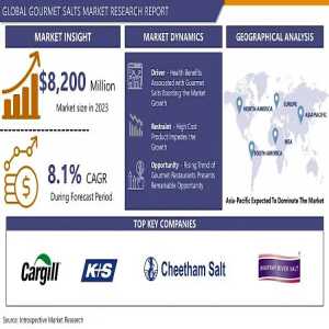 Gourmet Salts Market Projected To Hit USD 16528.9 Million At A 8.1% CAGR By 2032