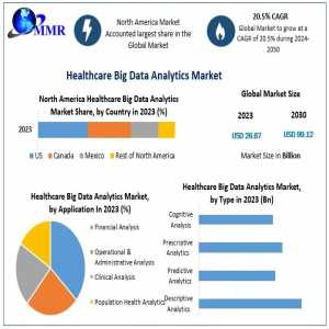 Healthcare Big Data Analytics Market Application, Trends, Global Outlook And Forecast 2024-2030