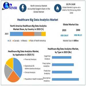 Healthcare Big Data Analytics Market Report, Detailed Growth And Forecast 2024-2030