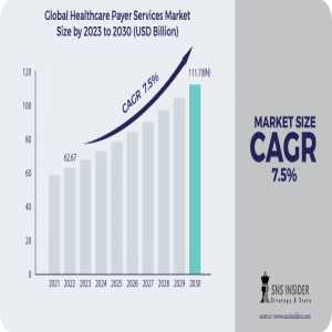 Healthcare Payer Services Market Size, Share, Trends, Analysis, COVID-19 Impact Analysis And Forecast 2024-2031