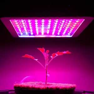 Horticulture Lighting Market Report: Segment And Growth Forecasts By 2031