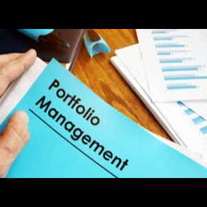 How Can Asset Portfolio Management In Prayagraj Help Me Diversify My Investments?