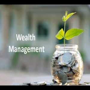 How Can You Benefit From Wealth Management Service In Beawar?