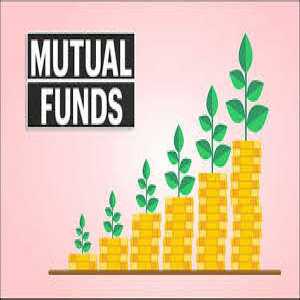 How Does Mutual Fund Software Reduce Time In Transactions?