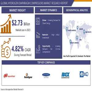 Hydrogen Diaphragm Compressors Market: Powering The Future Of Clean Energy