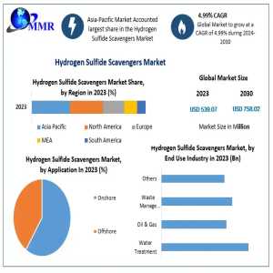 Hydrogen Sulfide Scavengers Industry Set For Strong Market Trajectory