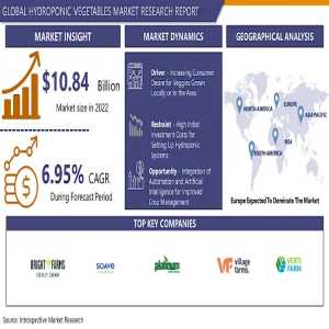 Hydroponic Vegetables Market Insights: Driving The Future Of Fresh Produce