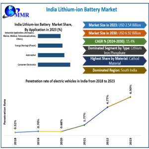 India Lithium-ion Battery Market Insights: Growth Drivers, Innovation, And Future Prospects