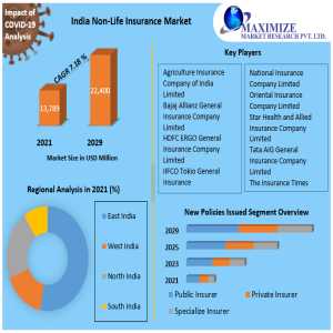 India Non-Life Insurance Market Growth: CAGR Of 7.18% To Reach USD 22,400 Million By 2029