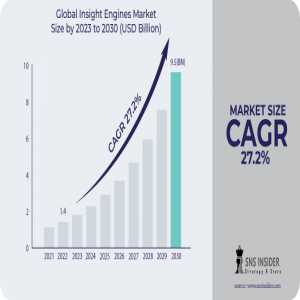 Insight Engines Market Share, Types, Applications, Products, Size, Growth, Insights And Forecasts Report 2030