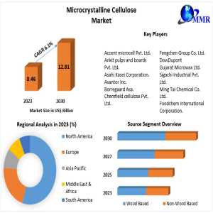 Insights Into The Future Of The Global Microcrystalline Cellulose Industry