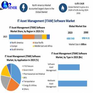 IT Asset Management (ITAM) Software Market  Trends, Strategy, Application Analysis, Demand, Status And Global Share-2030