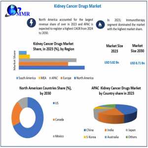 Kidney Cancer Drugs Market Dynamics: Drivers, Barriers, And Key Players From 2024 To 2030