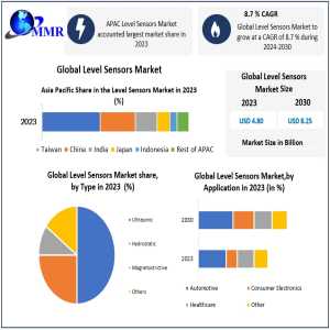 Level Sensors Market Business Size With Forthcoming Developments 2030