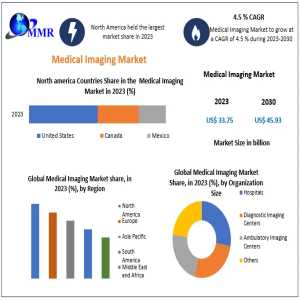 Medical Imaging Market Key Players, New Industry Updates By Customers Demand, Global Size, Analysis, Sales Revenue And Forecast 2030