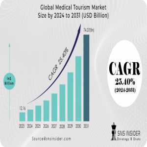 Medical Tourism Market Size, Share, Trends, Analysis, And Forecast 2024-2031