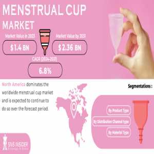 Menstrual Cup Market Size, Share, Trends, Analysis, And Forecast 2024-2031