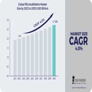 Micro Catheters Market Analysis With COVID-19 Impact On Business Growth, And Forecast 2024-2031