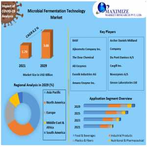 Microbial Fermentation Technology Market Size, Share, Global Industry Outlook By Types, Applications, And End-User Analysis Industry Growth Forecast To 2029