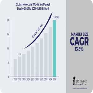 Molecular Modeling Market Analysis With COVID-19 Impact On Business Growth, And Forecast 2024-2031