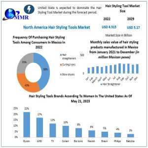 North America Hair Styling Tool Market Regulatory Framework, Environmental Impact, Forecast 2023-2029