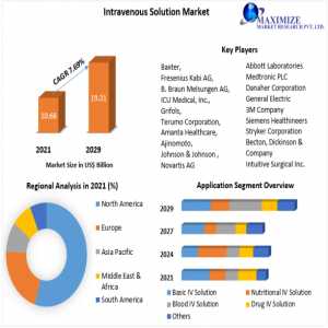 Nutraceutica Market:2022 Key Stakeholders, Growth Opportunities, Value Chain And Sales Channels Analysis 2022-2029
