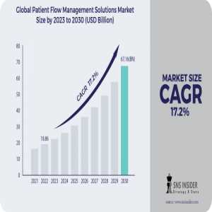 Patient Flow Management Solutions Market Analysis With COVID-19 Impact On Business Growth, And Forecast 2024-2031