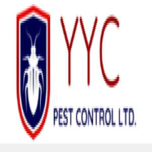 Professional Pest Control Calgary – Safe & Effective