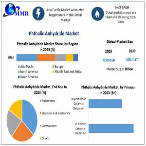 Phthalic Anhydride Market 2024-2030 Emerging Trends And Growth Opportunities