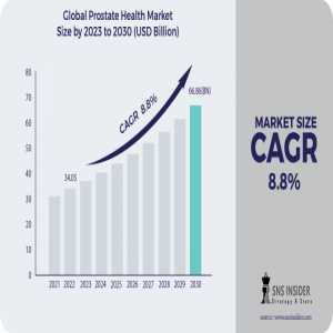 Prostate Health Market Analysis With COVID-19 Impact On Business Growth, And Forecast 2024-2031