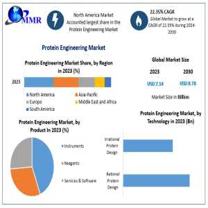 Protein Engineering Market Towards 2030: Exploring Trends, Size, And Forecasting The Future